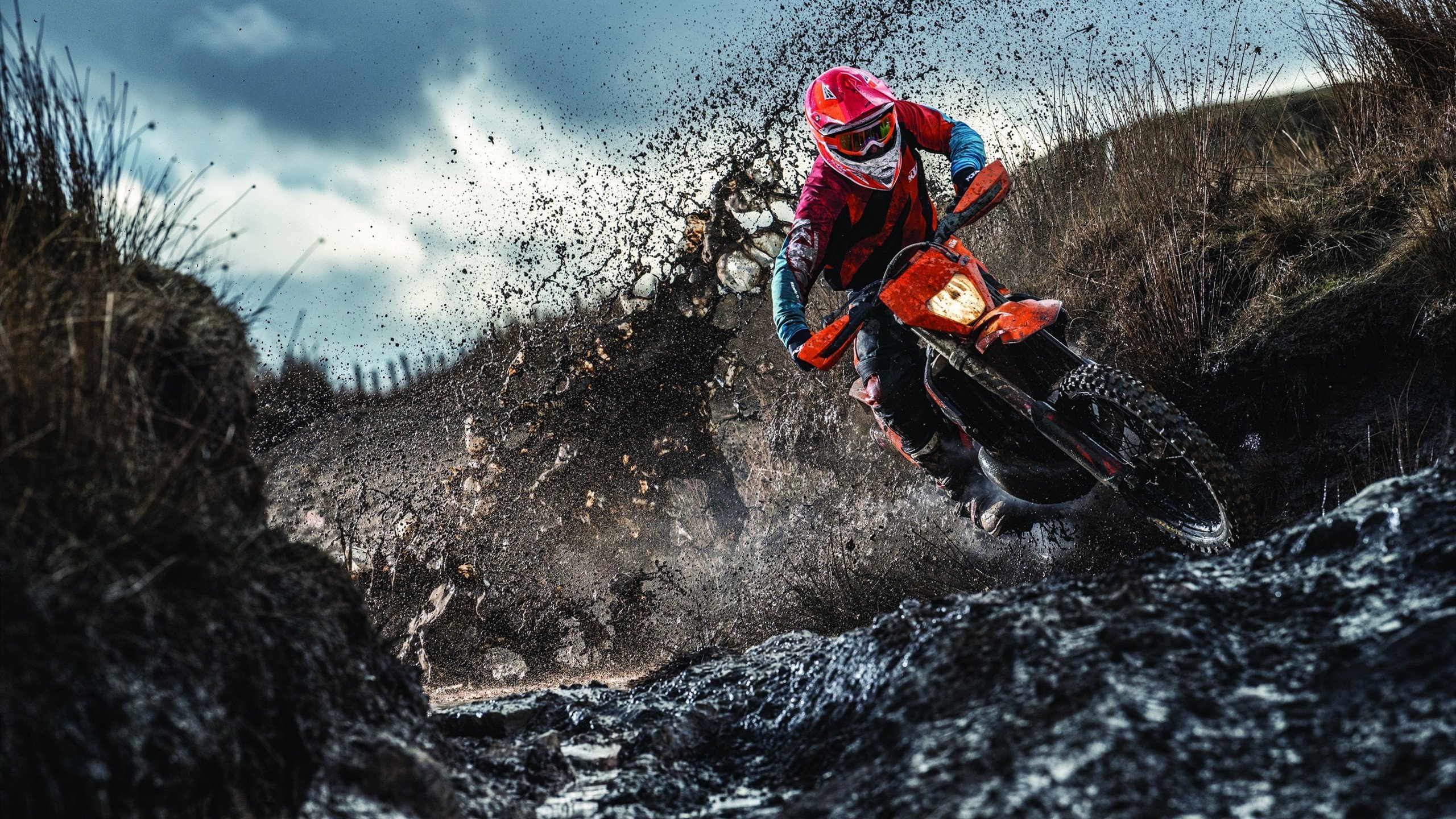 女子4×200米自由泳接力澳大利亚技术动作细腻，女子4×200米自由泳接力采访