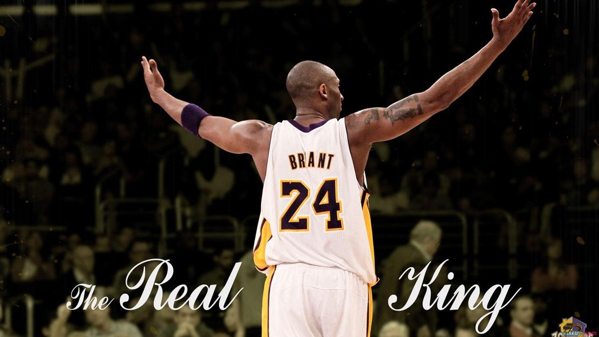 逆境中逆袭！冠军之路的“逆转传奇”！